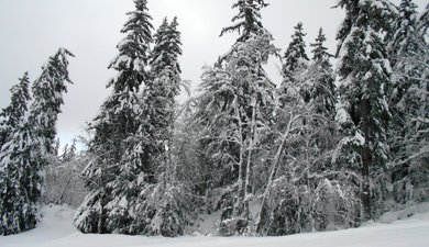 Premières neiges au Mont Margeriaz