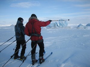Ski nordique, pulka, expédition…et ours polaire