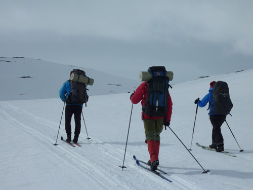 Skieurs de randonnée nordique