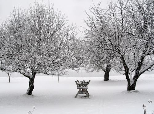 ski_nordique_quebec_05.JPG