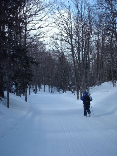 ski-nordique-itinerance-vercors_13.JPG