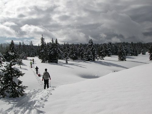 gtv-ski-nordique-vercors_06.jpg