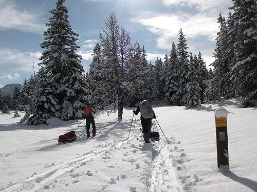 gtv-ski-nordique-vercors.jpg