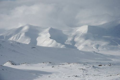 spitzberg_ski-pulka_08.jpg