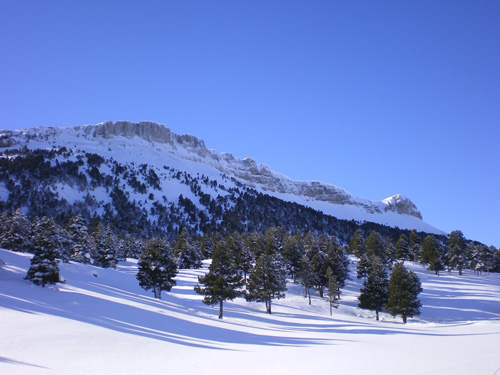 montagnette-vercors.jpg