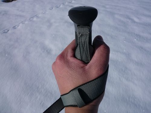 baton_black_diamond_pure_carbon_05.JPG