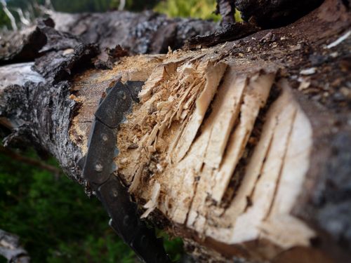 outil-coupe-bois_39.JPG