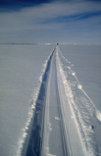 Trace de pulka dans la neige