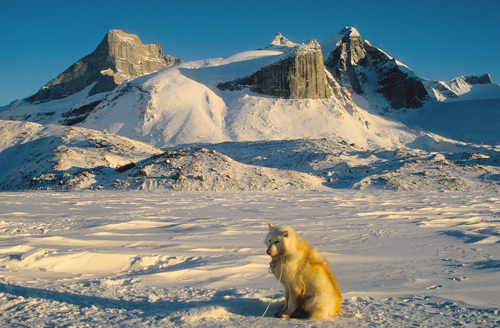 baffin-clyde-river-pont-inlet_06.jpg