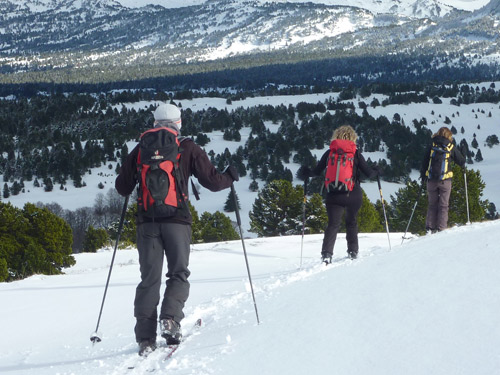 Skieurs de randonnée nordique