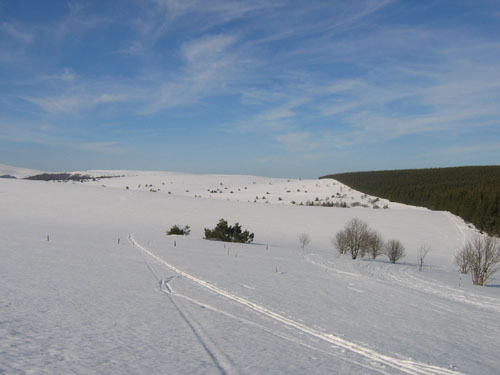 Traversee-Monts-du-Forez.jpg