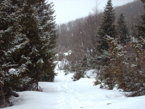 ski-nordique-itinerance-vercors_16.JPG