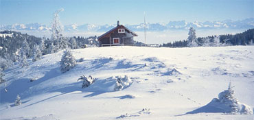 cabane_pulka_refuge.jpg