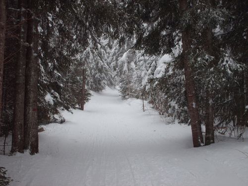 ski-nordique-itinerance-vercors.JPG