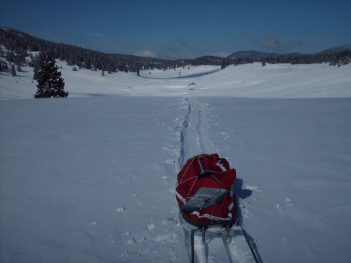 ski-nordique-pulka.JPG