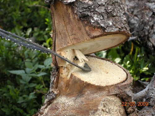 outil-coupe-bois_07.JPG