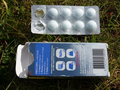 dentifrice_comprime_frescoryl_09.JPG