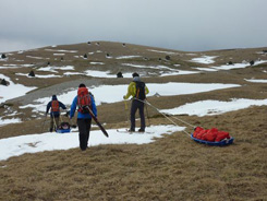 Ski pulka sur herbe