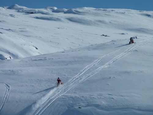 2 conducteurs de motoneiges passant partout