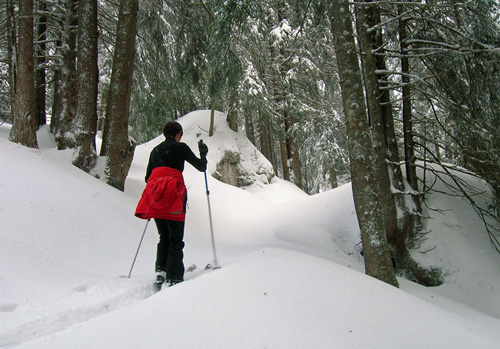 Skieuse avec des skis Madshus Annum