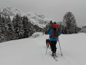 les allieres (Lans en vercors)