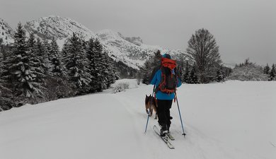 les allieres (Lans en vercors)