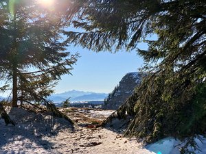 Super-Longuevilles - Mont d'Or - La Coquille