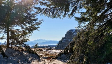 Super-Longuevilles - Mont d'Or - La Coquille