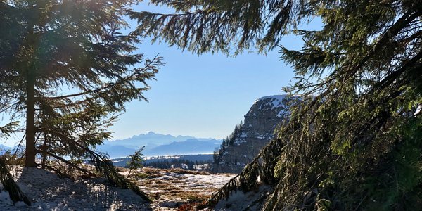 Super-Longuevilles - Mont d'Or - La Coquille