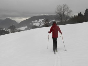 Plateau sud de La Féclaz