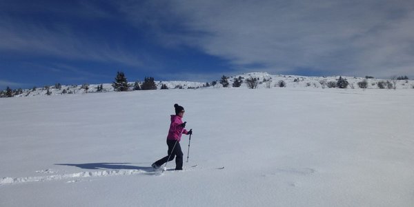 Stade de Neige de Lans - Les Ramées