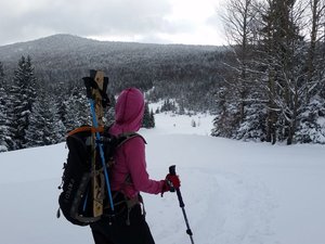 Un tour dans les bois de Corrençon-en-Vercors