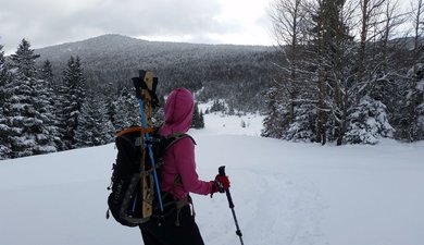 Un tour dans les bois de Corrençon-en-Vercors