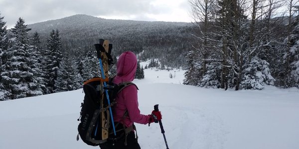 Un tour dans les bois de Corrençon-en-Vercors