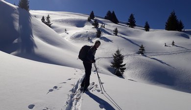 De retour à Pipay