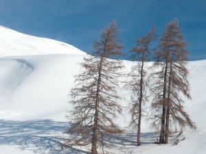 Cervières - Col de Bousson