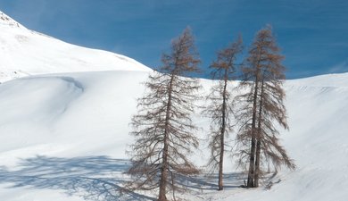 Cervières - Col de Bousson