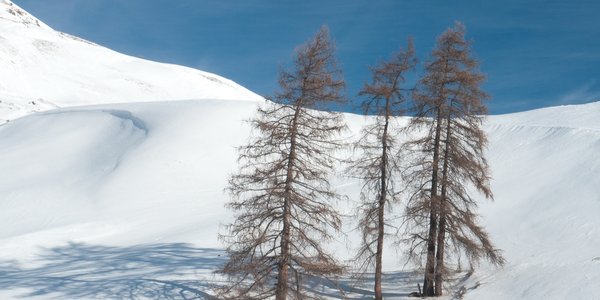 Cervières - Col de Bousson