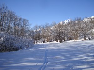 Petite balade dans les prés de Bini