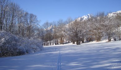 Petite balade dans les prés de Bini