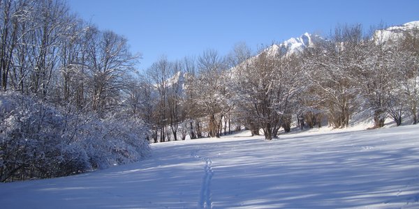 Petite balade dans les prés de Bini