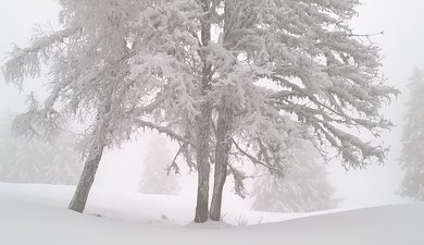 Cret du Poulet par pistes (fermées)