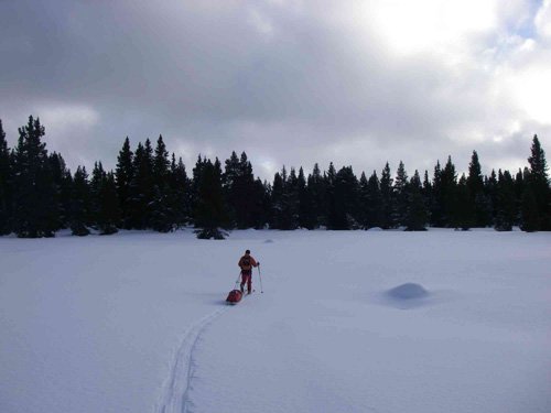 Ski pulka au coeur de la réserve des Hauts-Plateaux du Vercors
