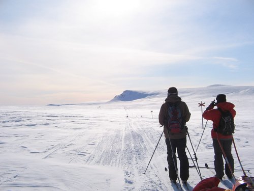 Randonneurs nordique en Suède - Kungsleden