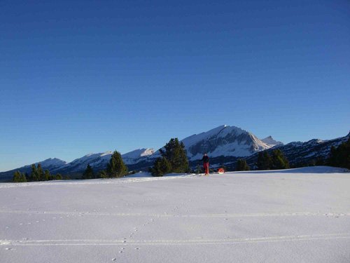 Un skieur en zone nordique