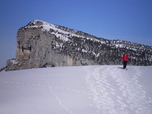 Ski de randonnée nordique dans la Réserve Naturelle des Hauts de Chartreuse