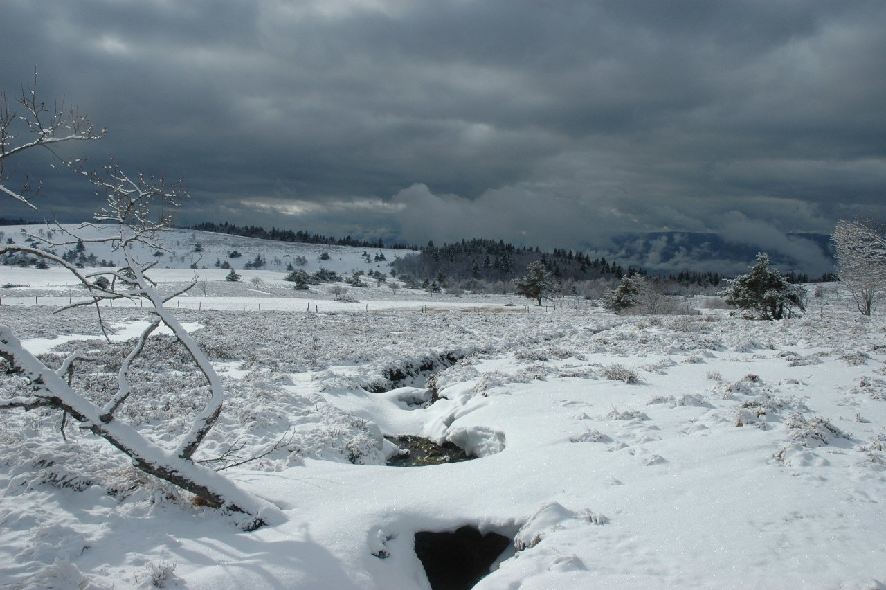 Paysage-mont-du-Forez.JPG