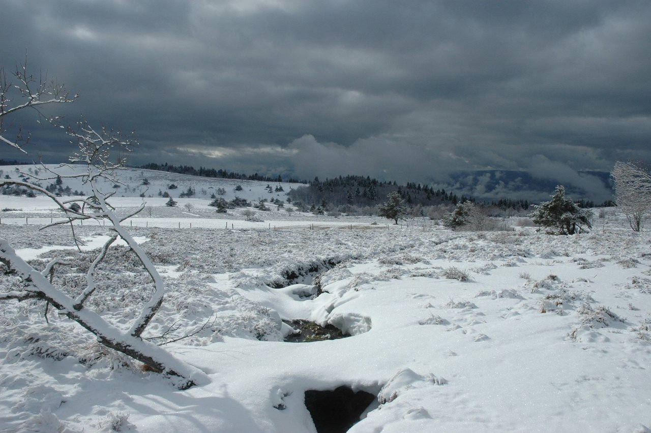 Paysage-mont-du-Forez.JPG