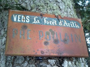 Le Bois de Prépoulain