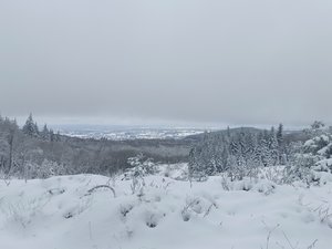 Les Grands Bois de  Pionsat